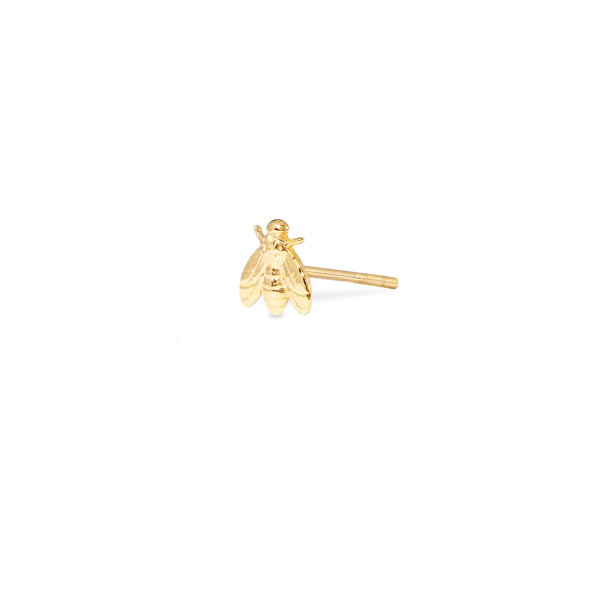 Stud Bee 18K