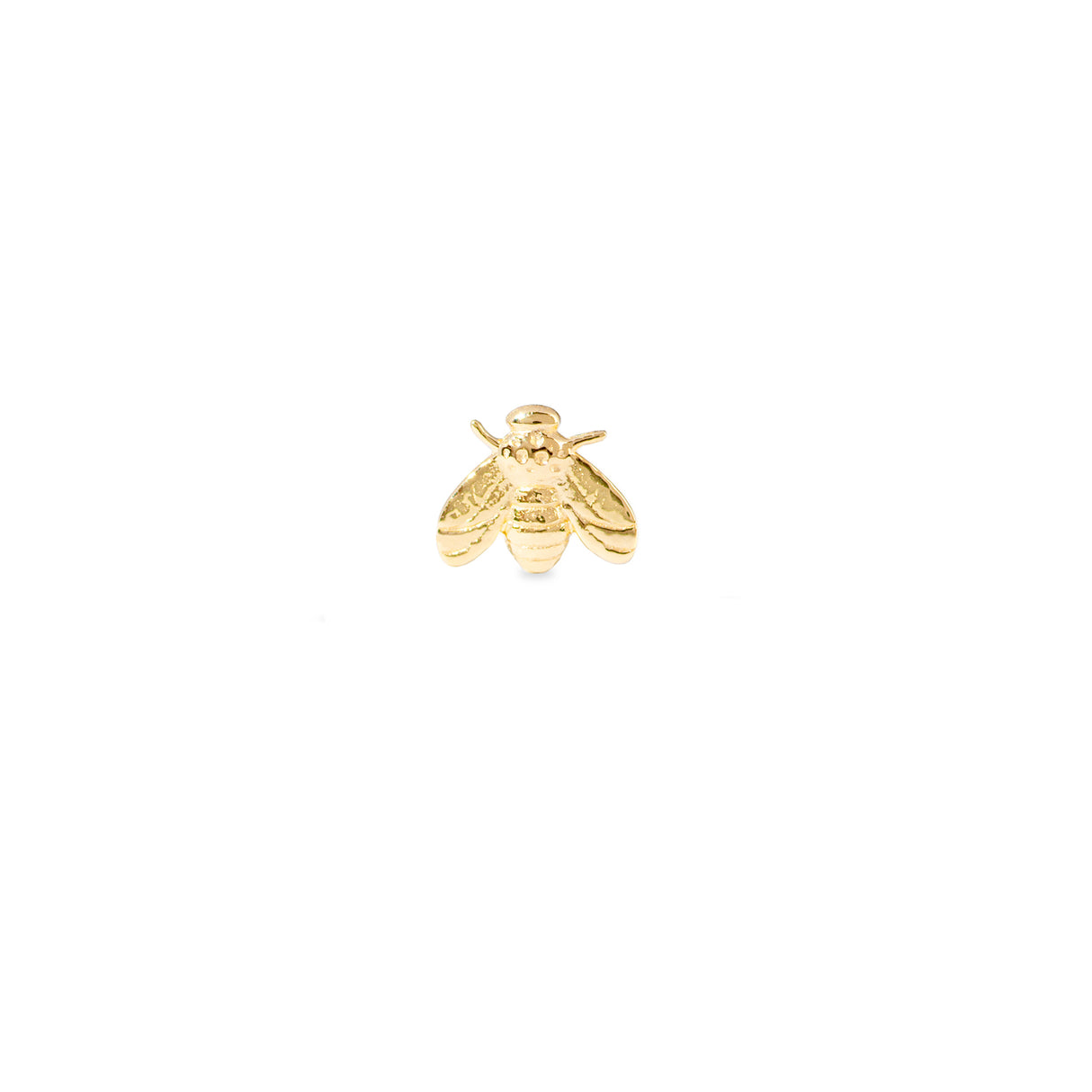 Stud Bee 18K