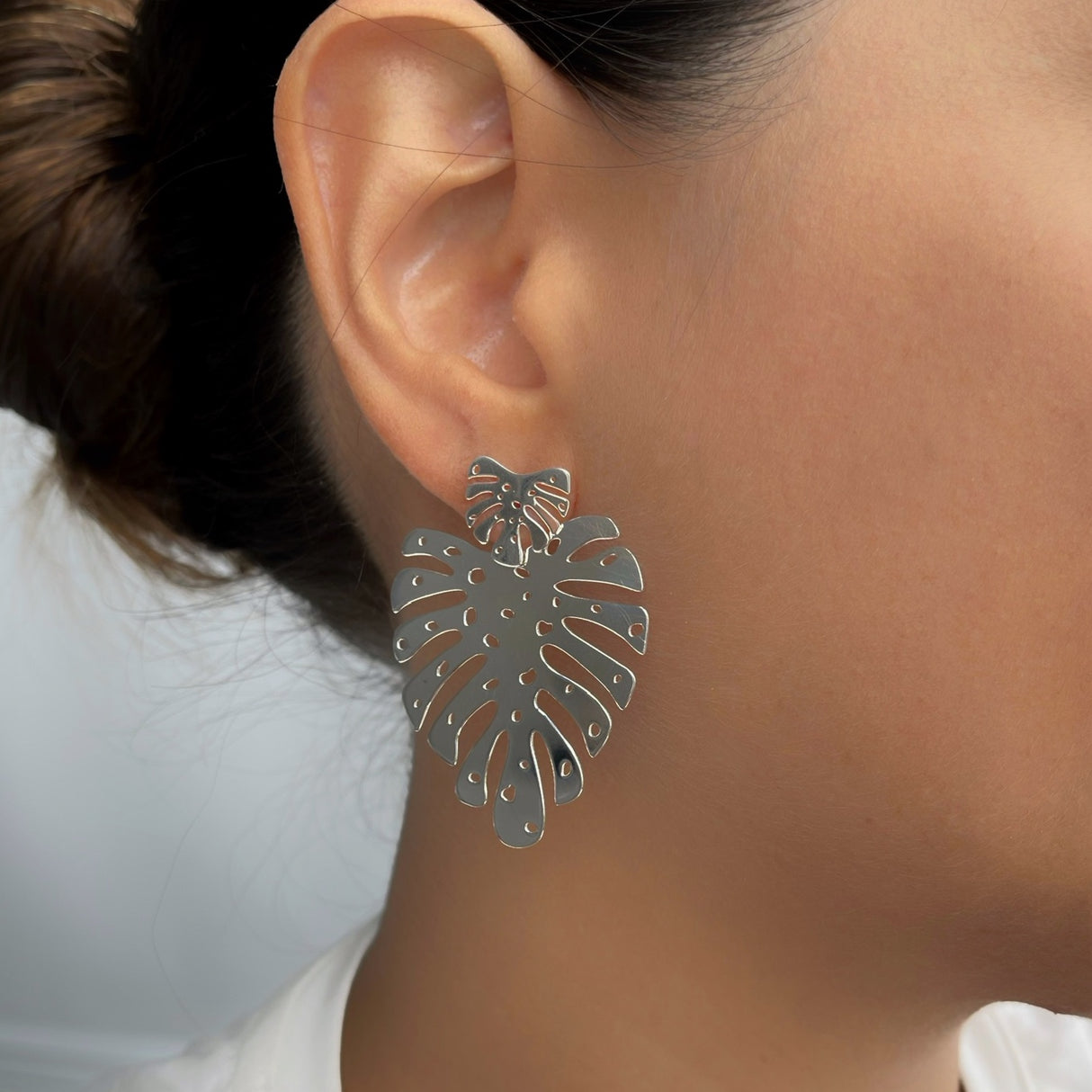 Arete Largo Hojon Silver