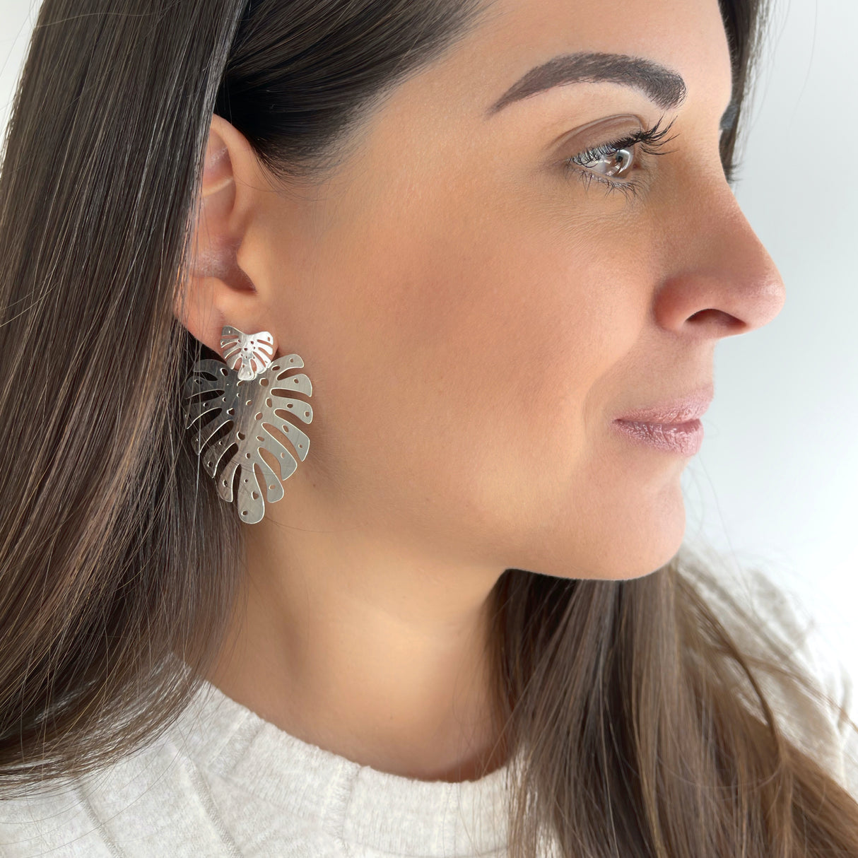 Arete Largo Hojon Silver