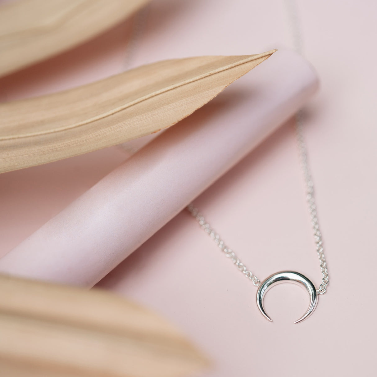 Gargantilla Moon Silver