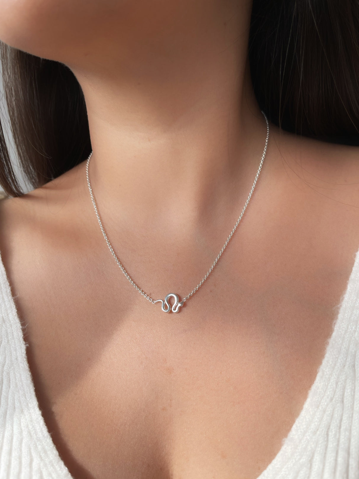 Gargantilla Cobra Silver