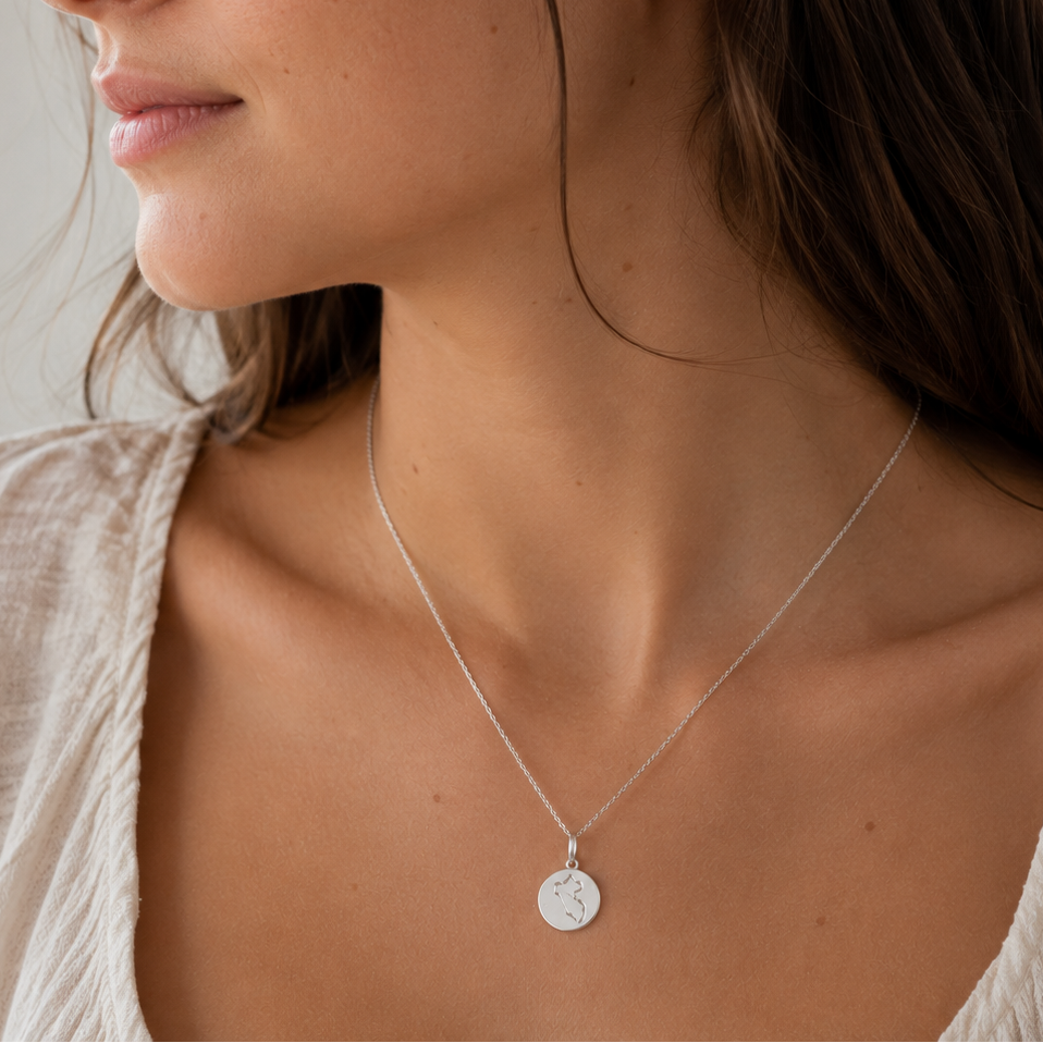 Collar Charm Mapa Silver
